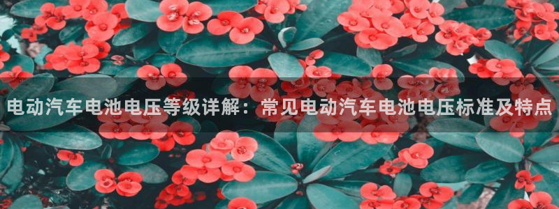 优发国际合并到哪里了最新消息
