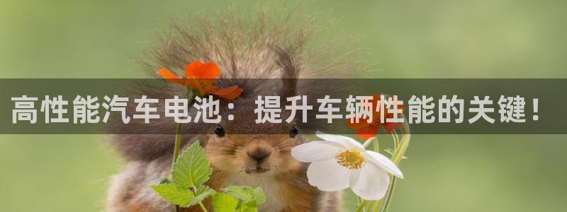 优发国际网官网17q8