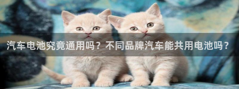优发国际官网网站首页