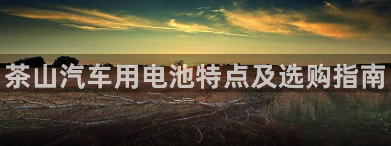 优发国际手机版客户端下载