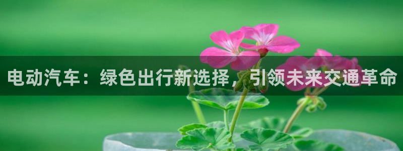 优发国际手机版下载官网