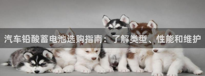 优发国际一触即发登陆