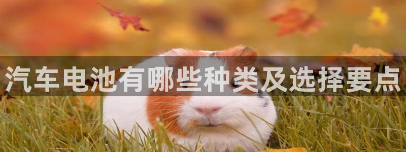 优发国际的网站是