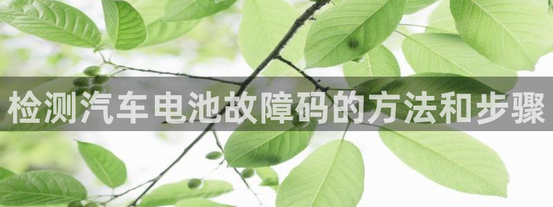 优发国际这个平台怎么样啊