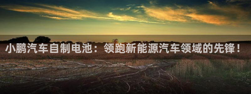 优发国际登录l8