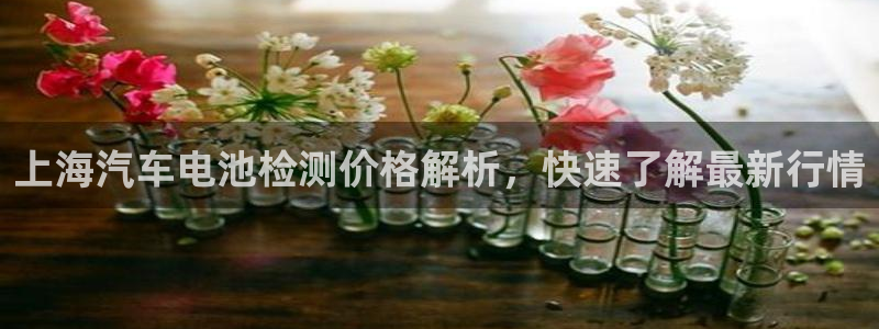优发国际合并到哪里了最新消息