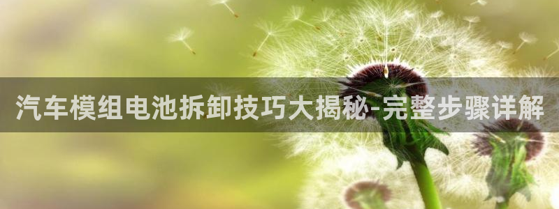 优发国际官网下载安装手机版