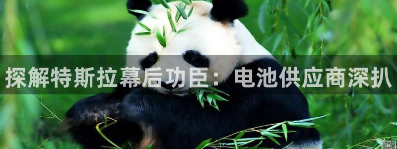 优发国际官方网手机版下载安装
