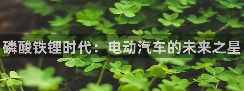 优发国际登录r8