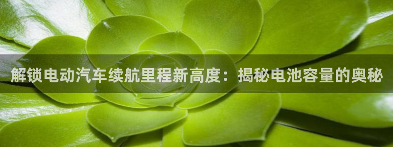 优发国际平台18岁能做吗