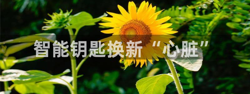 优发国际网官网17w80是什么