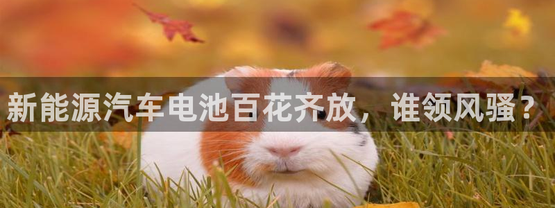 优发国际首页首页登录