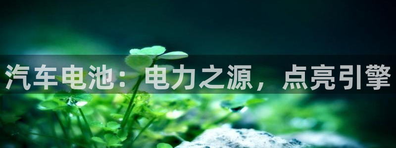 优发国际官网手机版下载