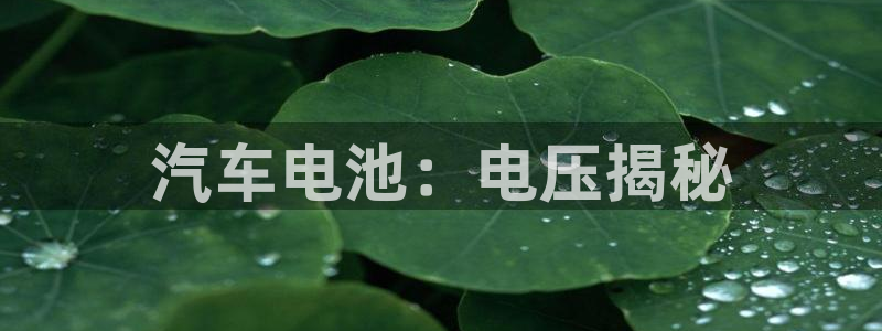 优发国际安卓版下载安装