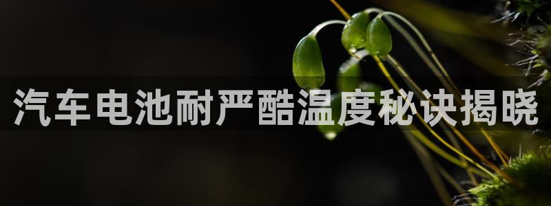 优发国际手机安装登录失败