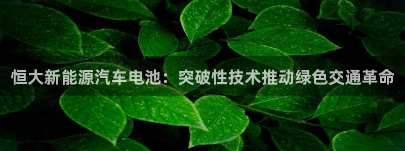 优发国际手机版下载安装