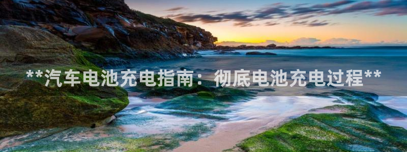 优发国际安卓版下载安装