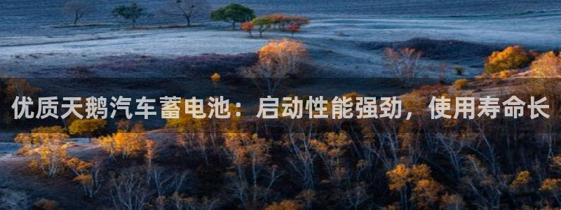 优发国际下载安装app