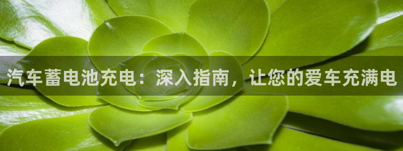 优发国际手机版唯一官网下载
