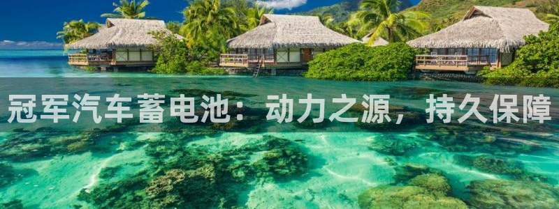 优发国际合并到哪里了最新消息