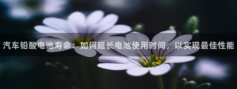 优发国际游戏官网