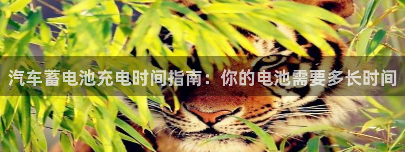 优发国际网页