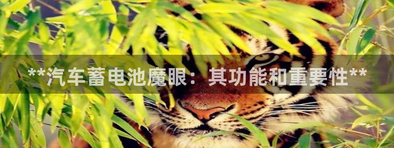 优发国际平台