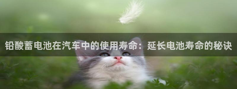 优发国际手机客户端下载安卓