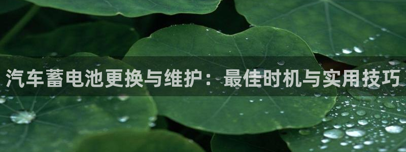 优发国际登录168