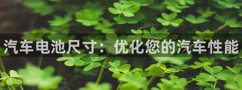 优发国际官方网手机版app
