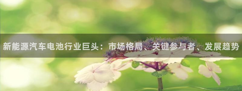 优发国际平台u8怎么样
