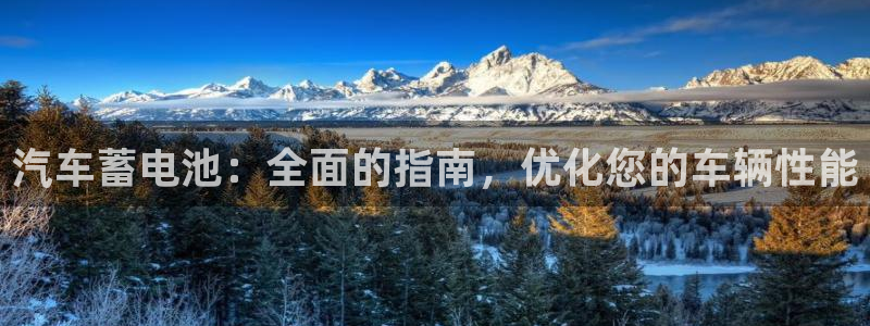 优发国际官网下载安装苹果：汽车蓄电池：全面的指南，优化您的车辆性能