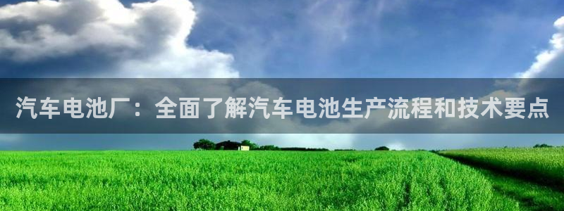 优发国际的官网是正品吗：汽车电池厂：全面了解汽车电池生产流程和技术要点