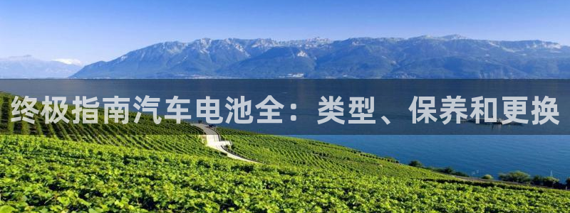 优发国际平台手机版下载安装：终极指南汽车电池全：类型、保养和更换