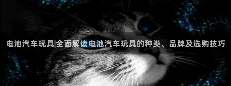 优发国际app官网下载安装：电池汽车玩具|全面解读电池汽车玩具的种类、品牌及选购技巧