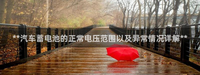 优发国际手机版官网：**汽车蓄电池的正常电压范围以及异常情况详解**