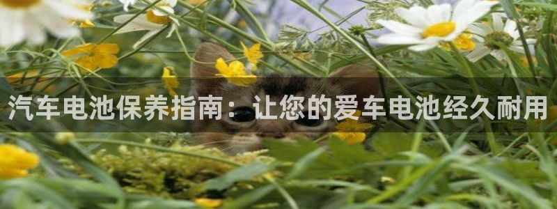 优发国际可以玩吗：汽车电池保养指南：让您的爱车电池经久耐用