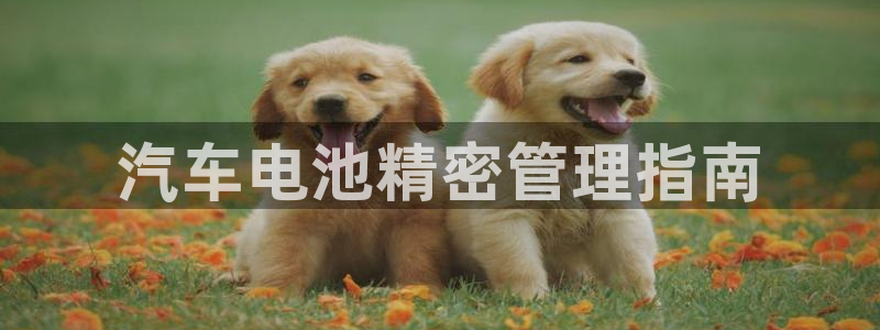 优发国际官网,首页网址：汽车电池精密管理指南