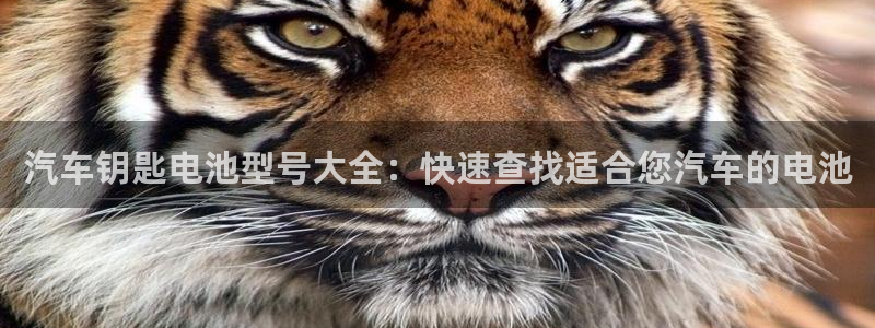 优发国际官网,首页网址：汽车钥匙电池型号大全：快速查找适合您汽车的电池