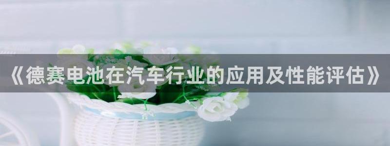 优发国际是什么：《德赛电池在汽车行业的应用及性能评估》