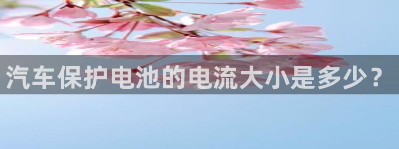 优发国际集团股份有限公司是国企吗：汽车保护电池的电流大小是多少？