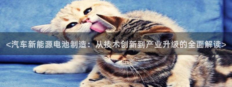 优发娱乐官网地址：<汽车新能源电池制造：从技术创新到产业升级的全面解读>