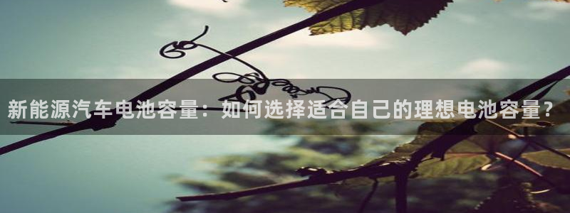 优发国际平台APP：新能源汽车电池容量：如何选择适合自己的理想电池容量？