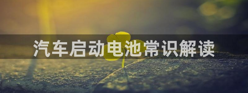 优发国际网官网17o8：汽车启动电池常识解读