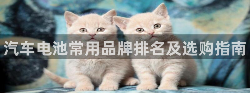 优发国际平台18岁能做吗：汽车电池常用品牌排名及选购指南