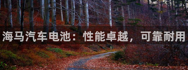 优发国际这个平台怎么样：海马汽车电池：性能卓越，可靠耐用