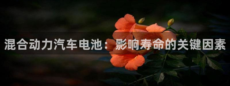 优发国际合并到哪里了啊：混合动力汽车电池：影响寿命的关键因素