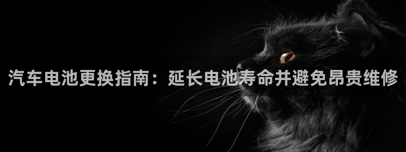 优发国际手机客户端下载：汽车电池更换指南：延长电池寿命并避免昂贵维修