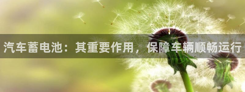 优发国际是合法的吗：汽车蓄电池：其重要作用，保障车辆顺畅运行