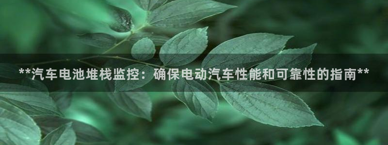 优发国际官网是多少号码：**汽车电池堆栈监控：确保电动汽车性能和可靠性的指南**
